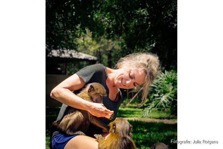 Bergense fotografe Julia Rotgans toont indrukwekkende apenportretten uit Afrika in Blooming Gallery