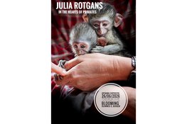 Bergense fotografe Julia Rotgans toont indrukwekkende apenportretten uit Afrika in Blooming Gallery