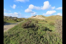 De kalkgrens bij Bergen aan Zee