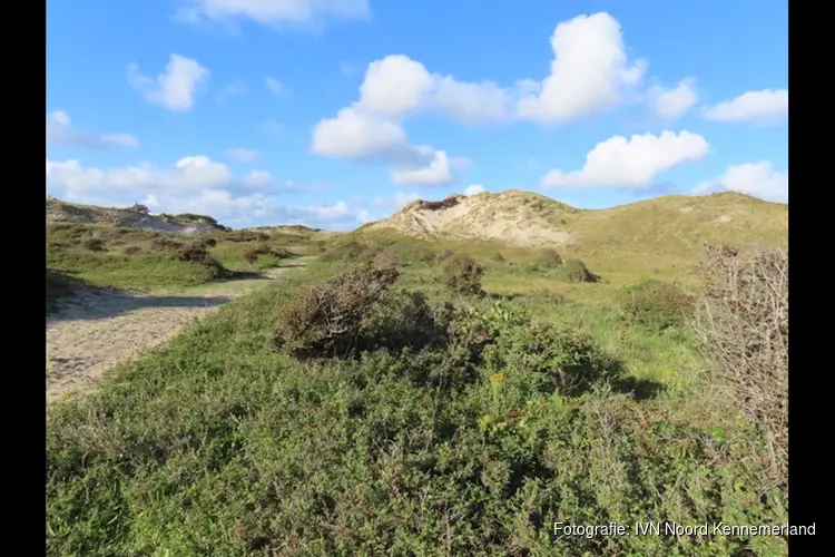 De kalkgrens bij Bergen aan Zee