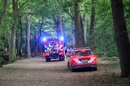 Brandweer rukt massaal uit na brand in bos