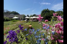 Duurzame en natuurinclusieve pluktuin en snijbloemenkwekerij in Schoorl