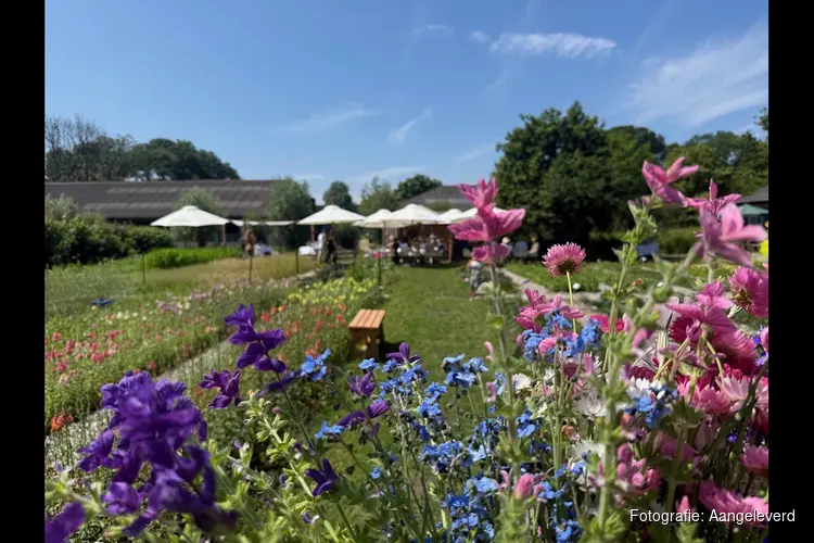 Duurzame en natuurinclusieve pluktuin en snijbloemenkwekerij in Schoorl