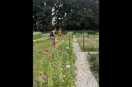 Duurzame en natuurinclusieve pluktuin en snijbloemenkwekerij in Schoorl
