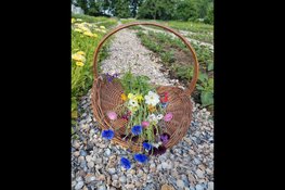 Duurzame en natuurinclusieve pluktuin en snijbloemenkwekerij in Schoorl