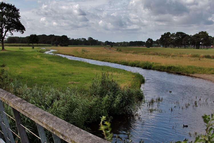 Ontwikkeling nieuwe natuur in Weidse Polders