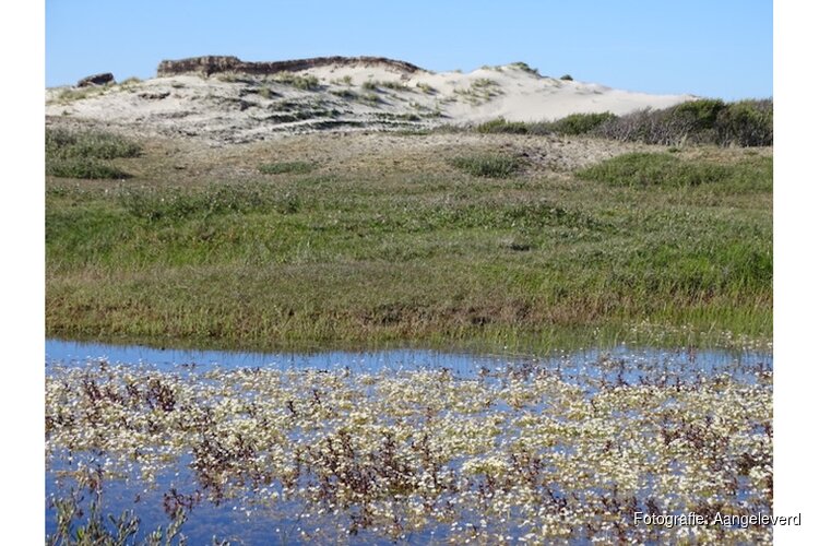 Natuur- en cultuurwandeling Bergen aan Zee