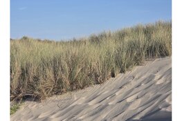 Duinland; op weg naar iets ‘anders’ van 20 t/m 22 augustus in en rond het Vredeskerktje