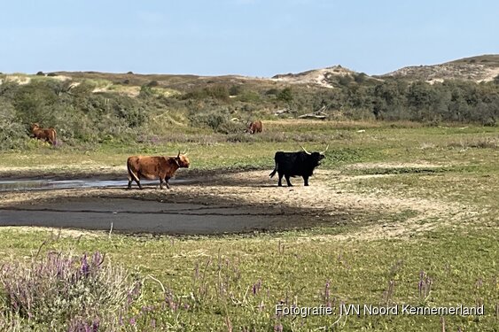 Grote grazersdag zondag 6 september 2026