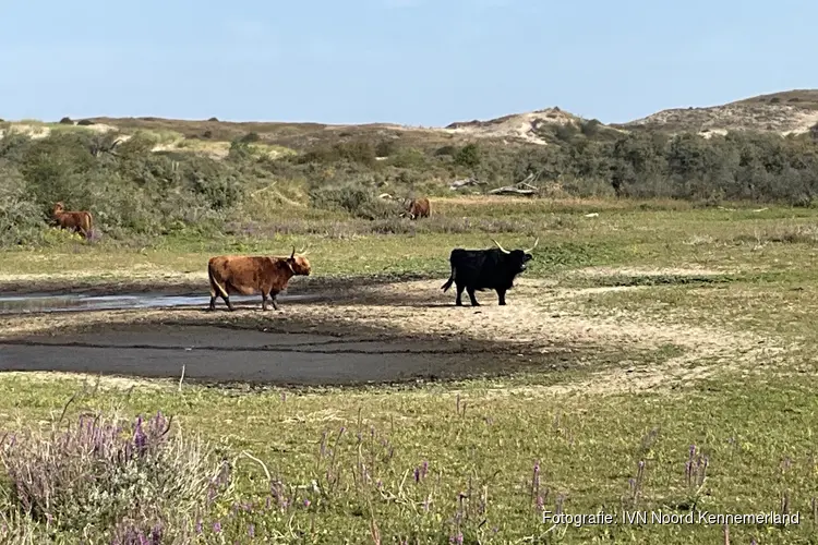 Grote grazersdag zondag 6 september 2026