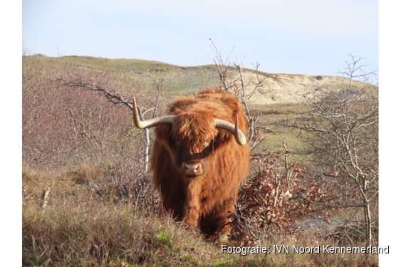 Natuur- en cultuurwandeling Bergen aan Zee