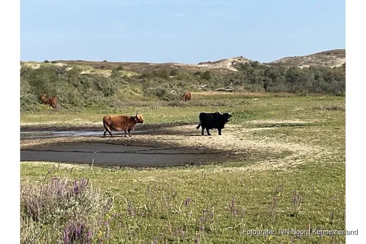 Op zoek naar de gekraagde aardster op zondag 4 oktober 2026