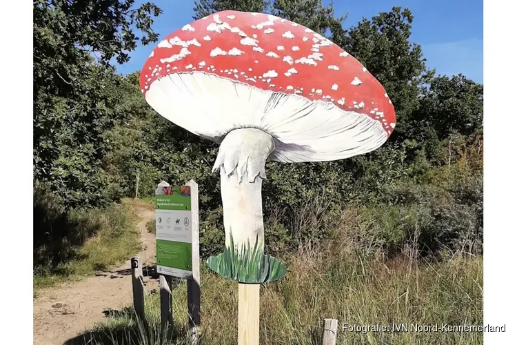 Herfstdag bij de Duinheide: Beleef de Magie van Paddenstoelen