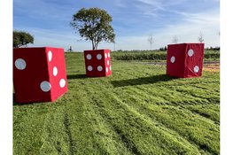 Nic van Schagen heeft de kolder in zijn kop