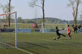 Bergen en Zeevogels pakken volle buit