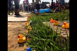 Woodlands festival komt weer tot bloei