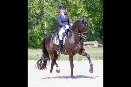 50e  Pinkster Concours Hippique Kennemerruiters