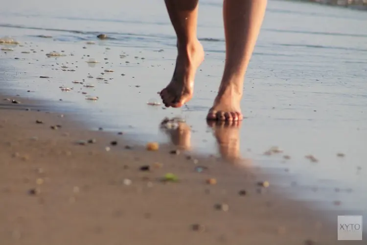 Vermist meisje (7) wandelt 5 kilometer over het strand van Bergen naar Egmond