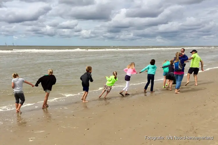 Korren in Bergen aan Zee op 16 juli
