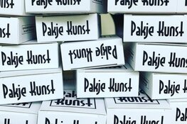 Kunst10Daagse in de bibliotheek in Bergen