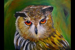 Expositie bij Staatsbosbeheer