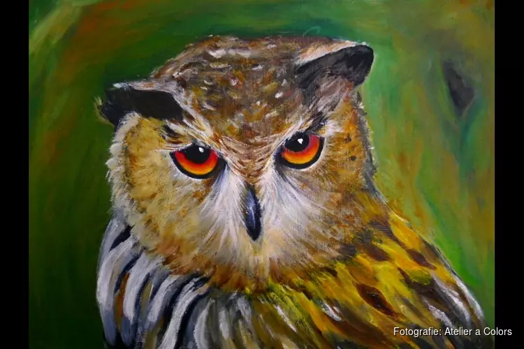 Expositie bij Staatsbosbeheer