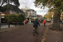 Prachtige kunstwerken op de Bergense Kunst10daagse