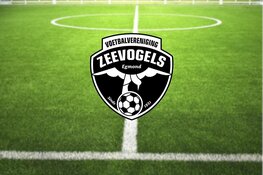 Zeevogels blijft steken op gelijkspel