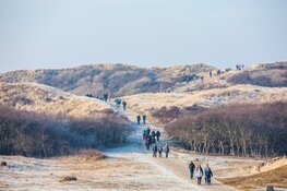 13.200 wandelaars naar de Egmond Wandel Marathon op 25 en 26 januari