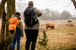 Heerlijk winters wandelweekend tijdens Egmond Wandel Marathon