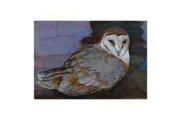 Nieuw: Galerie Huize Glory, Bergen aan Zee