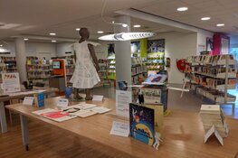 Boekenkunst van de Matthieu Wiegmanschool