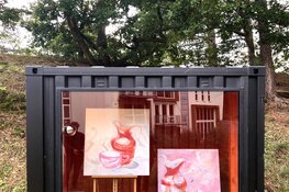 Geen K10D, toch kunst