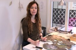 Cultureel magazine op RTV 80 en Flessenpost