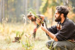 Indie Campers werkt samen met Forstfreunde: CO2 compensatie voor je roadtrip door het planten van bomen