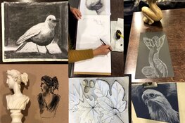 Een goed begin van het jaar, elke week een creatieve start