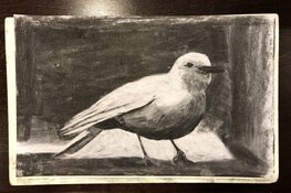 Een goed begin van het jaar, elke week een creatieve start