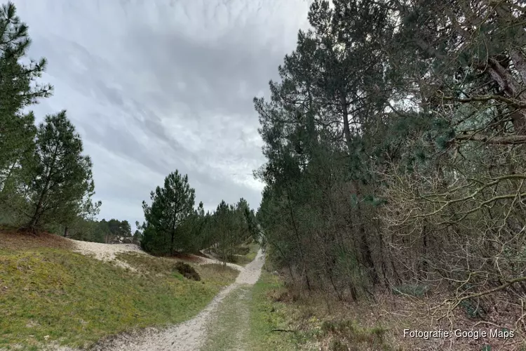 Betere mobiele bereikbaarheid in Schoorlse Duinen