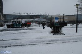 Winterse zondag in beeld