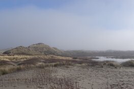 Aan Zee; Mist en eerste zwemmers!