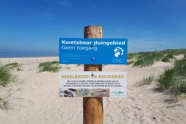 Eerste stappen Groene Strand Camperduin gezet!